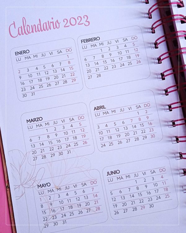 Agenda Flores de Bach, los 12 curadores - Imagen 6
