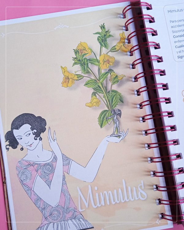 Agenda Flores de Bach, los 12 curadores - Imagen 5