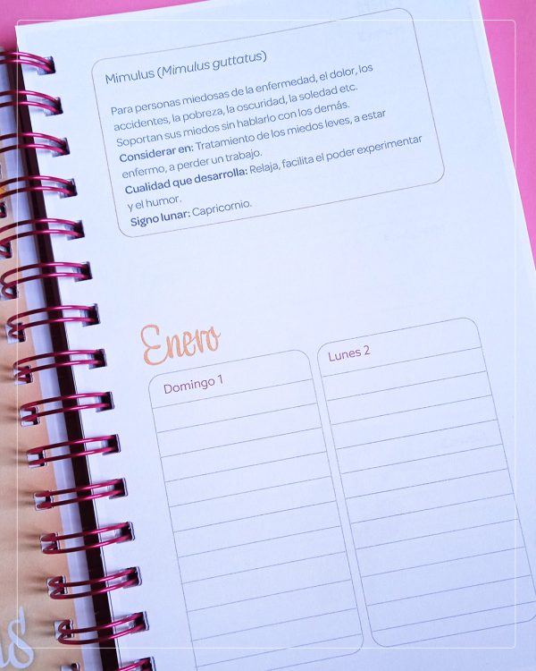 Agenda Flores de Bach, los 12 curadores - Imagen 4