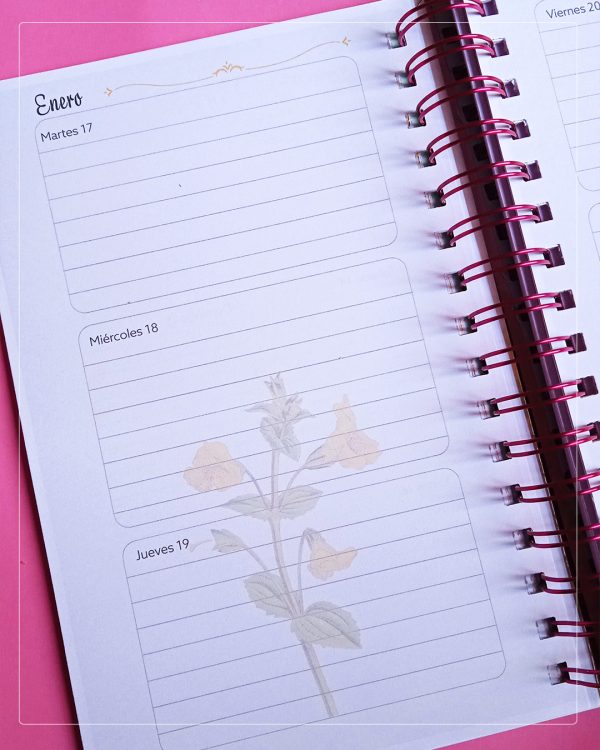 Agenda Flores de Bach, los 12 curadores - Imagen 3